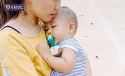 Bộ Y tế chính thức cấp phép vaccine phòng sốt xuất huyết, zona thần kinh, phế cầu 23