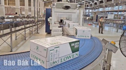 Tiêu dùng phù hợp - thêm “động lực” cho tăng thu ngân sách