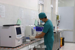 Những quy định mới nhất về đấu thầu thuốc tại cơ sở y tế công lập