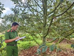 Cha và con tranh chấp 1 lô đất suốt 7 năm