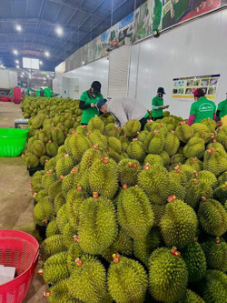 Xuất khẩu 4 tháng đầu năm đạt tăng trưởng tích cực