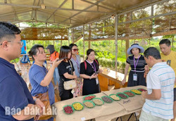 Nông sản làm du lịch