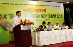 Cà phê - “mối lương duyên” giữa Buôn Ma Thuột và TP. Hồ Chí Minh