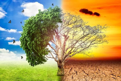 Biến đổi khí hậu ngày một gay gắt