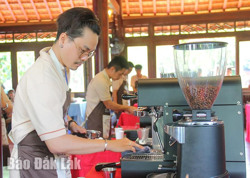 Giá cà phê tăng: Chuỗi cung ứng gặp nhiều áp lực