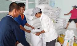 Chính phủ xuất cấp gạo giáp hạt cho 5 địa phương