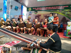 Kết nối du lịch Đắk Lắk và TP. Hồ Chí Minh