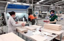 Gỗ Trường Thành được ngân hàng xoá nợ