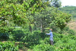 Đắk Nông linh hoạt ứng phó với biến đổi khí hậu