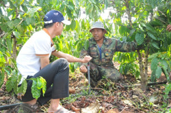 Nông dân Đắk Nông tập trung chăm sóc cà phê sau hạn hán