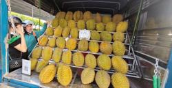 Bất ngờ với giá sầu riêng giảm sốc ở Hà Nội 70 ngàn/kg