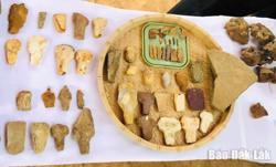 Tiếp tục khai quật Di tích khảo cổ học Thác Hai