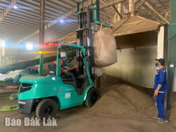 Xuất khẩu cà phê: “Giảm bán theo bao, tăng bán theo gói”