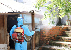 Tổ chức chiến dịch diệt lăng quăng phòng, chống sốt xuất huyết trong tháng 6/2024