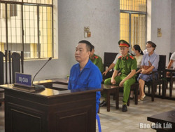 Làm giả tài liệu và lừa đảo chiếm đoạt tài sản, đối tượng lĩnh 19 năm tù