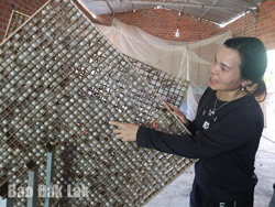 Cây dâu tằm “bén rễ” trên vùng đất khó