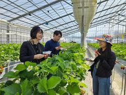 Chạy đua hút khách nội