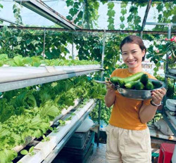 Lợi ích kép từ nông nghiệp đô thị