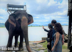 Huyện Lắk: 6 tháng đầu năm 2024, lượng khách du lịch tăng hơn 15%