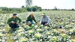 Sản xuất nông nghiệp ứng phó với biến đổi khí hậu: Giải pháp nào căn cơ? (Kỳ 1)