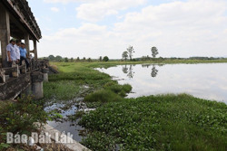 Sản xuất nông nghiệp ứng phó với biến đổi khí hậu: Giải pháp nào căn cơ? (Kỳ 2)