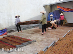 Cần sớm di dời cơ sở sản xuất gây ô nhiễm trong khu dân cư