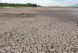 Trong mùa mưa nhưng nhiều hồ chứa vẫn cạn trơ đáy