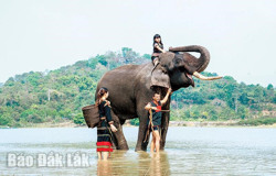 Những hướng đi triển vọng của du lịch Đắk Lắk