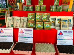 Giá nông sản tăng - Cơ hội để Đắk Nông tái cơ cấu cây chủ lực