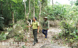 Nỗ lực giữ rừng ở huyện vùng sâu