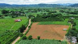 Hoàn thành 4 dự thảo Nghị định để thi hành Luật Đất đai 2024