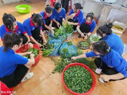 Trên 4.000 học sinh và gia đình học sinh khó khăn được hỗ trợ trong Chương trình “Tiếp sức mùa thi” năm 2024