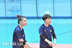 Cột mốc lịch sử mới của bóng chuyền Việt Nam