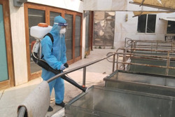 Phòng ngừa dịch bệnh mùa hè