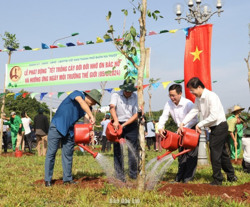 TP. Buôn Ma Thuột: Phát động trồng cây xanh hưởng ứng Tết Trồng cây và Ngày Môi trường thế giới