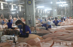 Đắk Lắk thu ngân sách đạt 43% dự toán