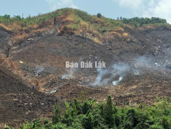 Quyết liệt các giải pháp phòng cháy, chữa cháy rừng