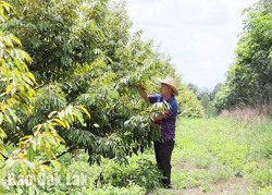 Thúc đẩy số hóa ngành nông nghiệp: Cần sớm tháo gỡ các "điểm nghẽn"