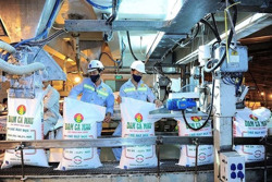 Doanh nghiệp phân bón trong nước vẫn gặp khó