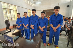 Lĩnh án 8 năm 6 tháng tù vì chém cậu ruột