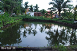 Cháu bé 8 tuổi bị đuối nước khi đi làm thuê cùng với bà