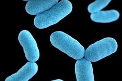 Bộ Y tế: Không tự ý tiêm vaccine chứa thành phần bạch hầu khi chưa có khuyến cáo