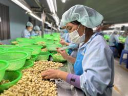 Lại "nóng" chuyện i-ốt trong chế biến thực phẩm