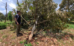 Chủ động ứng phó thiên tai trong những tháng cuối năm 2024