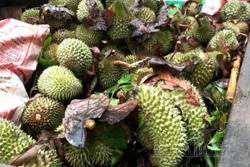 Đắk Mil, giông lốc gây thiệt hại khoảng 7,8 tỷ đồng