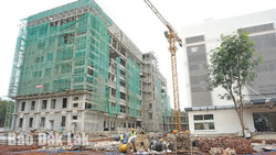 Phát triển vật liệu xây dựng xanh: Xu hướng và thách thức (kỳ 1)