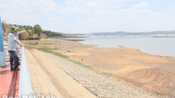 Sản xuất vụ Hè Thu 2024 đối diện bất lợi về thời tiết