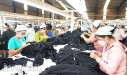 6 tháng đầu năm, có 690 doanh nghiệp thành lập mới