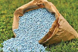 Áp thuế với phân bón, nên hay không?