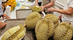 Vì sao giá sầu riêng Ri 6 và Monthong chênh lệch đến 40%?